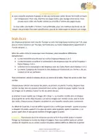Aperçu - Apprentissages en autonomie - Cherche et Trouve - Drapeaux d'Europe - Page 2
