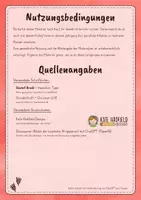 Vorschau - Arbeitsblätter - Leseverstehen Dinosaurier – differenzierte Sachtexte (3/4) - Seite 1