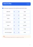 Vorschau - Arbeitsblätter - Körper und Würfelnetze: Würfel, Quader, Kugel, Zylinder, Kegel und Pyramide für die 4. Klasse - Seite 2