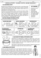 Vorschau - Arbeitsblätter - Nährstoffe verstehen – Materialpaket zu Proteinen, Vitaminen, Speisefetten & Kohlenhydraten (Sekundarstufe 5–8) - Seite 3