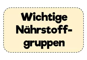 Vorschau - Poster - AES Nährstoffgruppen Tafelbild Karten - Seite 2