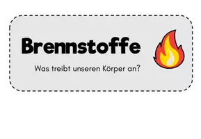 Vorschau - Poster - AES Nährstoffgruppen Tafelbild Karten - Seite 3