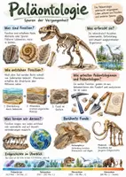 Vorschau - Arbeitsblätter - Lernplakat + Arbeitsblätter zum Thema "Paläontologie" + Lösung & MP3 + Mindmap + Infografik - Deckblatt
