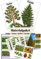Vorschau - Arbeitsblätter - Nadelbäume Materialpaket (entdeckend lernen) - Deckblatt
