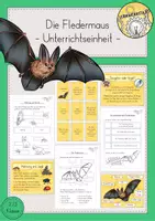 Vorschau - Stundenentwürfe - Fledermaus Unterrichtseinheit Klasse 2/3 - Deckblatt