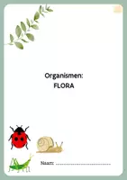 Voorbeeld - Natuur: flora 1ste leerjaar - Voorblad
