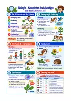 Vorschau - Arbeitsblätter - Biologie Kennzeichen des Lebendigen Sek I Klasse 5 – Merkmale von Lebewesen - Deckblatt