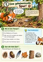 Vorschau - Stundenentwürfe - Tierspuren 3./4.Klasse Vertretungsstundengeeignet - Seite 1