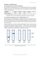 Vorschau - Klassenarbeiten - Klausur Biologie Q2 GK Genetik – DNA, PCR & Proteinbiosynthese am Beispiel SARS-CoV-2 - Seite 2
