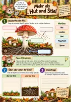 Vorschau - Arbeitsblätter - Pilzforscher-Die geheimnisse Welt der Pilze 3./4.Klasse - Seite 2