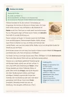 Vorschau - Unterrichtsreihen - Radioaktivität – Arbeitsheft in einfacher Sprache | Förderschule, Inklusion & DaZ | Klasse 9–10 - Seite 3