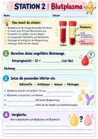 Vorschau - Arbeitsblätter - Stationenlernen: Blut und Herz (Blutkreislauf) - Seite 3