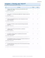 Vorschau - Arbeitsblätter - Absolutismus in Frankreich, Geschichte - Seite 3