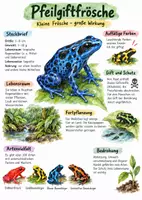 Vorschau - Arbeitsblätter - Lernplakat + Arbeitsblätter zum Thema "Pfeilgiftfrosch" + Lösung & MP3 + Infografik - Deckblatt