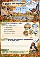 Vorschau - Arbeitsblätter - Vogelzug - Warum Vögel auf große Reise gehen 3./4. Klasse - Seite 1