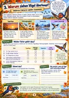 Vorschau - Arbeitsblätter - Vogelzug - Warum Vögel auf große Reise gehen 3./4. Klasse - Seite 3