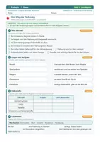 Vorschau - Arbeitsblätter - Organsysteme Biologie 7 Realschule - Seite 2