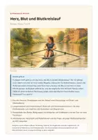 Vorschau - Unterrichtsreihen - Herz, Blut und Blutkreislauf – Biologie Klasse 7–8 Gymnasium | Herzzyklus, Blutdruck, Herzminutenvolumen, Blutgruppen, Herzinfarkt | mit Klassenarbeit und Erwartungshorizont - Seite 1