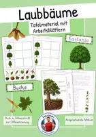 Vorschau - Arbeitsblätter - Laubbäume und ihre Teile - Tafelmaterial und Arbeitsblätter (mit Silbenschrift) - Deckblatt