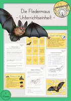 Vorschau - Stundenentwürfe - Sachunterricht Klasse 4 - Seite 1
