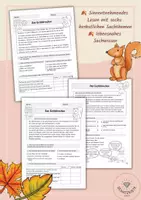 Vorschau - Stundenentwürfe - Lesehelden - herbstliche Sachtexte - lesen und verstehen - im Herbst - Seite 2