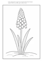 Aperçu - Matériel pour travaux manuels / dessin - Hyacinthe bricolage avec papier crépon - Page 3