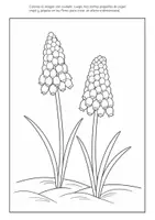 Vista previa - Manualidades / Dibujos para colorear - Jacinto manualidad con papel crepé - página 2