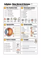 Vorschau - Arbeitsblätter - Sinne, Nerven, Hormone - Nervensystem - Biologie Sek I Klasse 7-10 - Seite 1