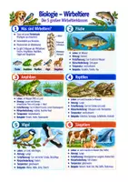 Vorschau - Arbeitsblätter - Wirbeltiere, Säugetiere, Vögel, Reptilien - Biologie Sek I Klasse 5-6 - Deckblatt