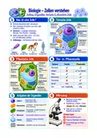 Vorschau - Arbeitsblätter - Zellen, Zellaufbau, Zellorganellen - Biologie Sek I Klasse 5-6 - Deckblatt