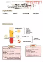 Vorschau - Unterrichtsreihen - Blut - Anatomie und Physiologie, Blutbildung, Transfusion - Deckblatt