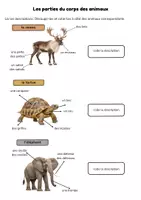 Vista previa - Hojas de trabajo - Descripción de animales en francés – Recurso FLE con indagación IB PYP - página 3