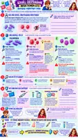 Vorschau - Stundenentwürfe - 🛡️💊🦠 Biologie (Bio) – Verhütung & sexuell übertragbare Infektionen (STI) ❤️ | Klasse 7/8 | Verhütungsmethoden, HIV, HPV & Chlamydien | Arbeitsblätter ✏️ + Lösungen ✅ + Video 🎬 + Unterrichtsplanung ⏱️ - Seite 2