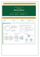 Vorschau - Prüfungsvorbereitung - Mitose, Meiose & p53 | Bio Abitur - Deckblatt