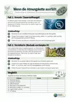 Vorschau - Arbeitsblätter - Wenn die Atmungskette ausfällt – Folgen für die Zellatmung - Deckblatt