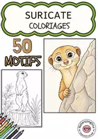 Aperçu - Matériel pour travaux manuels / dessin - Coloriages suricates - Page de couverture