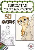 Vista previa - Manualidades / Dibujos para colorear - Imágenes de suricatos para colorear - Portada