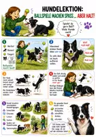 Vorschau - Spiele - Alles über Hunde | 20 illustrierte Seiten + Bonus-Leitfaden - Seite 3