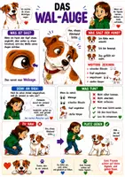 Vorschau - Poster - Hunde verstehen: Kostenlose Vorschau - Seite 3