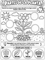 Vista previa - Unidades / Secuencias / Situaciones de Aprendizaje - Pack cono seeres vivos, clasificacion de seres vivos, plantas su partes y explicacion, nutrición y carteles de palntas en peligro de extinción para tarea final. - página 2
