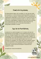 Vorschau - Arbeitsblätter - Tiere der Hecke - Wissenskarten und Steckbriefe - Sachunterricht Jgst. 2 - Seite 1