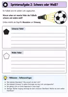 Vorschau - Arbeitsblätter - Ausbreitung von Licht - Reflexion, Streuung und Absorption - Optik - Seite 2