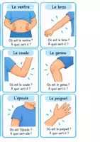 Aperçu - Apprentissages en autonomie - Le corps humain - le jeu du docteur - Page 2