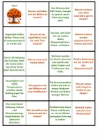 Vorschau - Arbeitsblätter - Herbst | 3-teiliges Paket | Unterrichtsmaterial | Klasse 5-8 | mit Lösungen - Seite 3