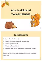 Vorschau - Anderer Materialtyp - Abschreibkartei - Tiere im Herbst (3 fach differenziert & mit Sachwissen) - Seite 3