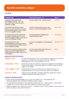 Vorschau - Arbeitsblätter - Halloween Mathe Arbeitsblätter Klasse 2 und 3 | Bundle Einmaleins, Uhrzeit, Escape-Heft - Seite 3
