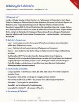 Vorschau - Arbeitsblätter - Farben selbst herstellen – vom Pigment zur Tube – Lesespurgeschichte mit Rätselaufgaben (Klasse 7) - Seite 2
