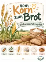 Vorschau - Unterrichtsreihen - 🌾 Vom Korn zum Brot wachsendes Materialpaket - Deckblatt