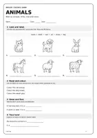 Vorschau - Arbeitsblätter - Englisch Grundschule – Animals, Food & Drinks | 3 kostenlose Arbeitsblätter zum Ausmalen - Deckblatt