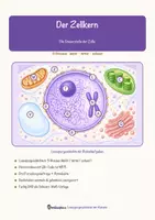 Vorschau - Arbeitsblätter - Der Zellkern – Lesespurgeschichte mit Rätselaufgaben (Klasse 9) - Seite 1